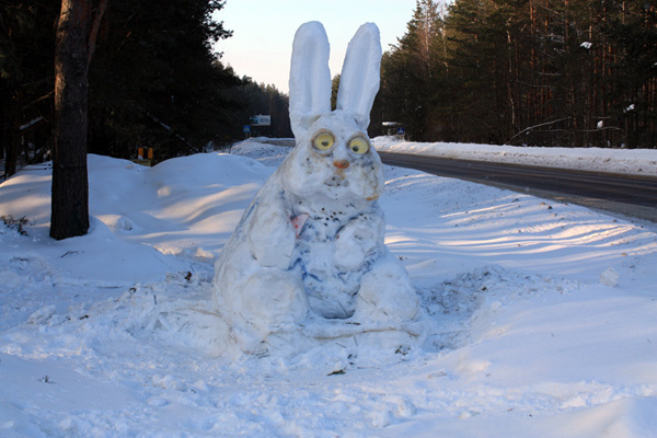 2011. Год зайца.