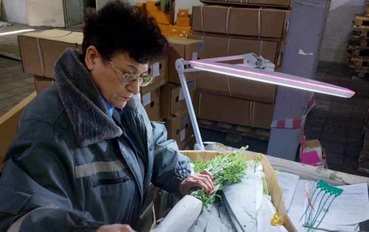    Фото: Приморское межрегиональное управление Россельхознадзора