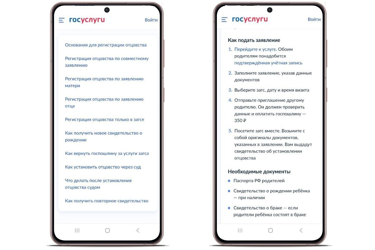 Список услуг и документов. Источник: gosuslugi.ru📷
