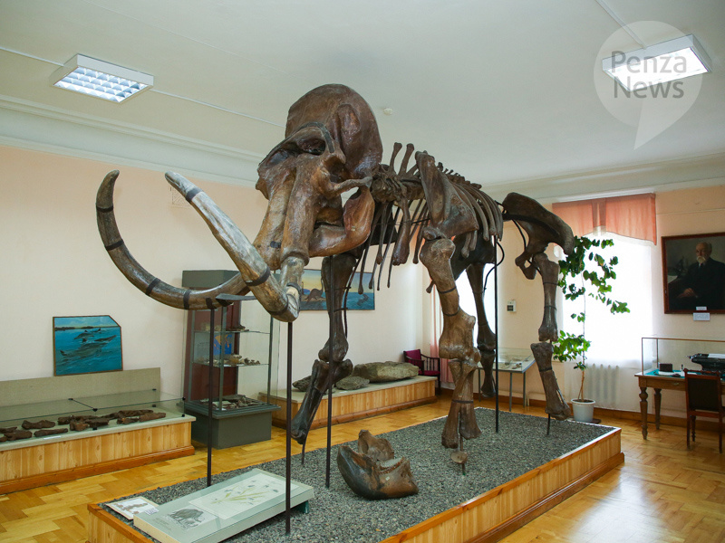    © Фото из архива ИА «PenzaNews»