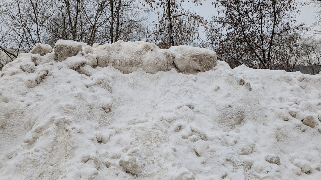 Снег в Пушкино 11 января 2026 года. Фото автора
