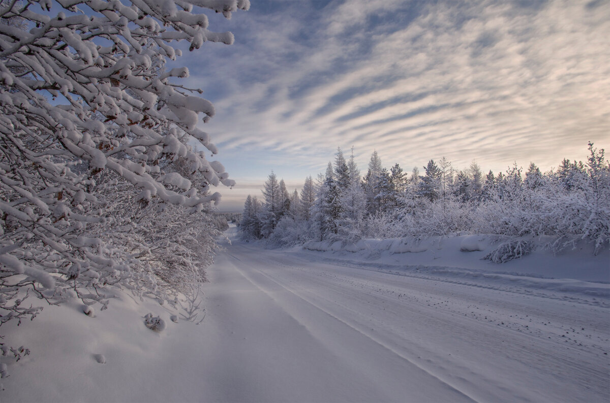 Картинка найдена на просторах интернета, ссылка  https://yandex.ru/images/search?from=tabbar&img_url=https%3A%2F%2Fi.pinimg.com%2F736x%2F5c%2F90%2F9c%2F5c909c2fdb3cf5e5f9b610fdeb2fe210b.jpg&lr=47&pos=14&rpt=simage&text=%D0%BF%D1%80%D0%B8%D1%80%D0%BE%D0%B4%D0%B0%20%D1%84%D0%BE%D1%82%D0%BE%20%D1%81%D0%B0%D0%BC%D1%8B%D0%B5%20%D0%BA%D1%80%D0%B0%D1%81%D0%B8%D0%B2%D1%8B%D0%B5