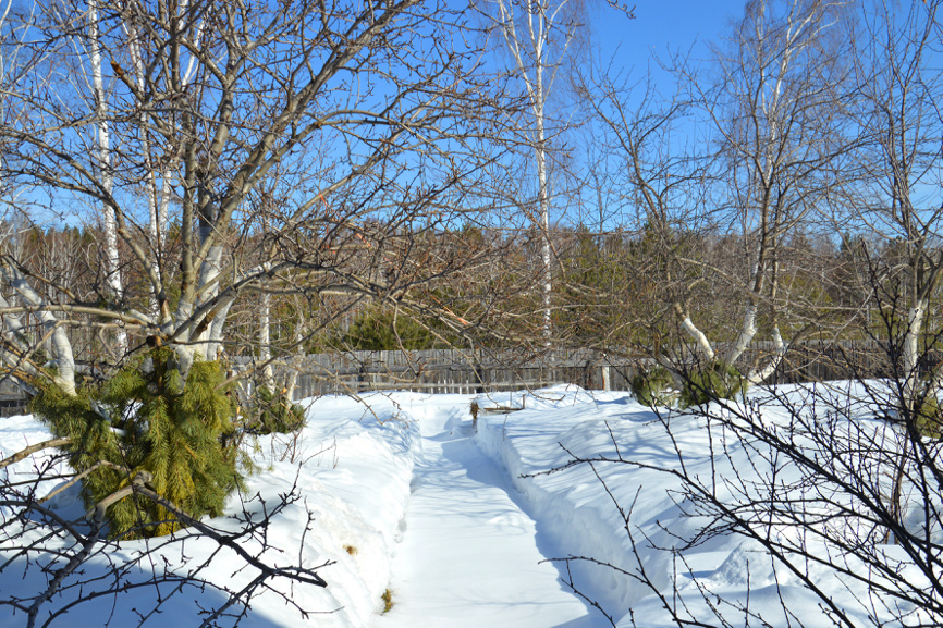 Садовые дорожки требуют особого ухода зимой