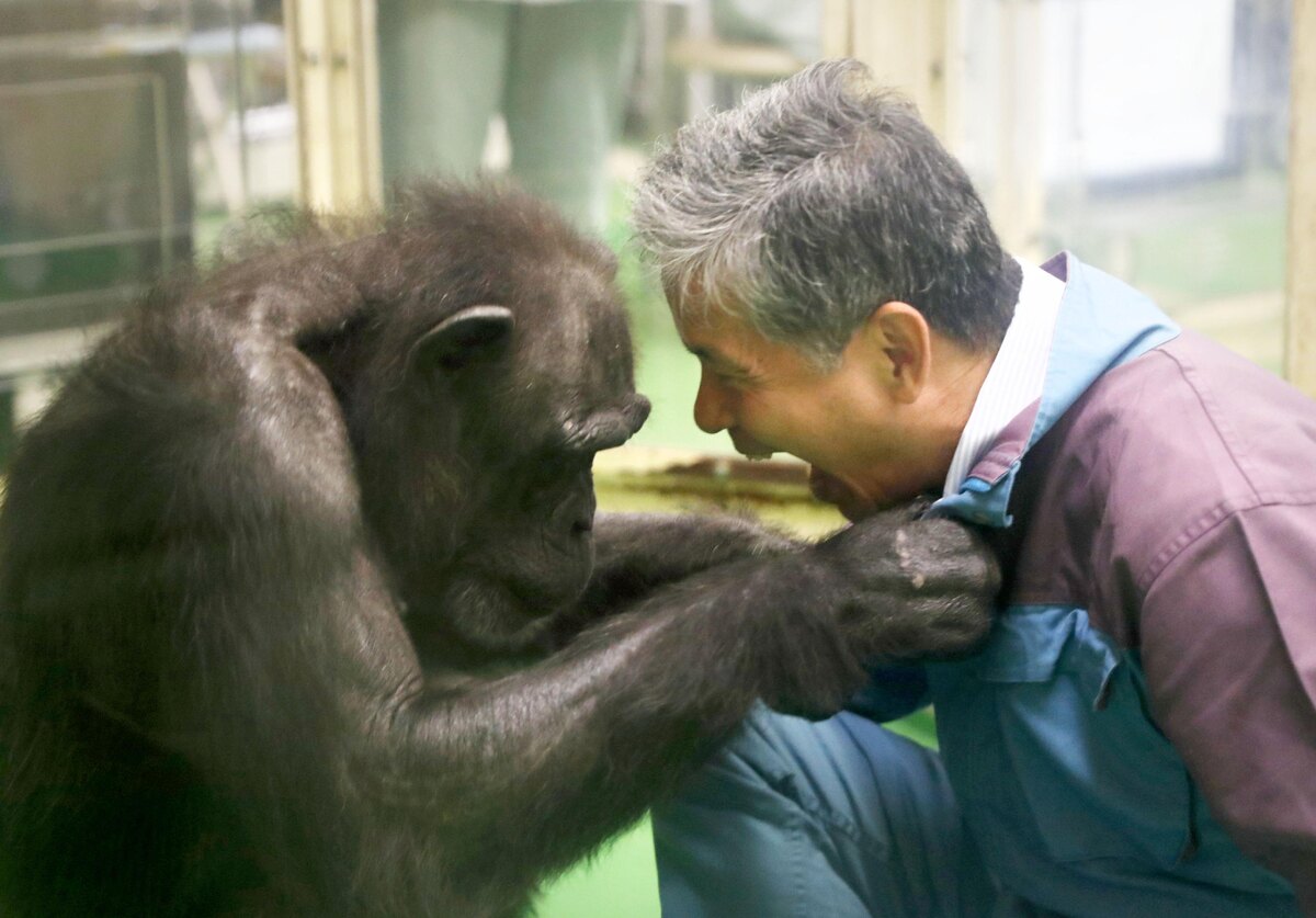    фото:Legion Media