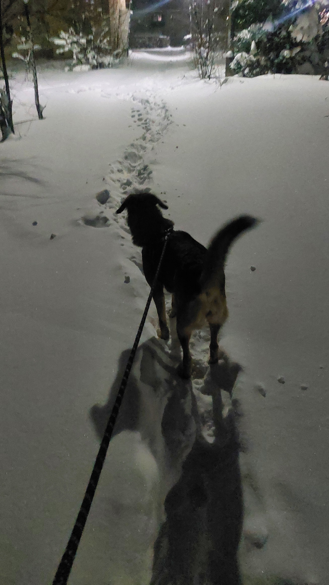 Ночью мне снился родной район и почему-то снег. Я очень снег люблю!