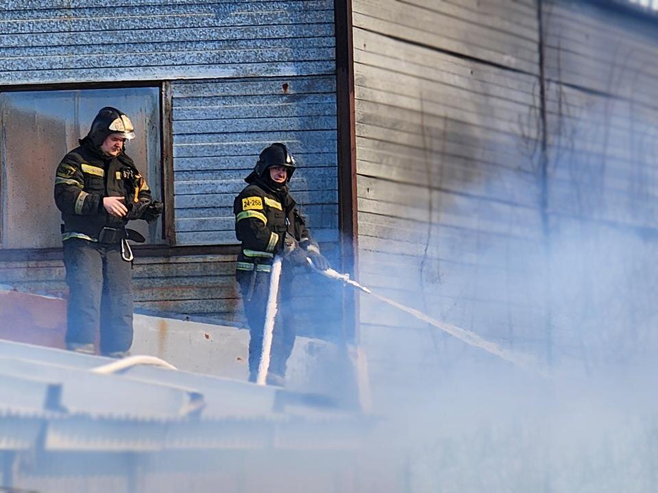    Фото: МедиаБанк Подмосковья/Валентина Максимова