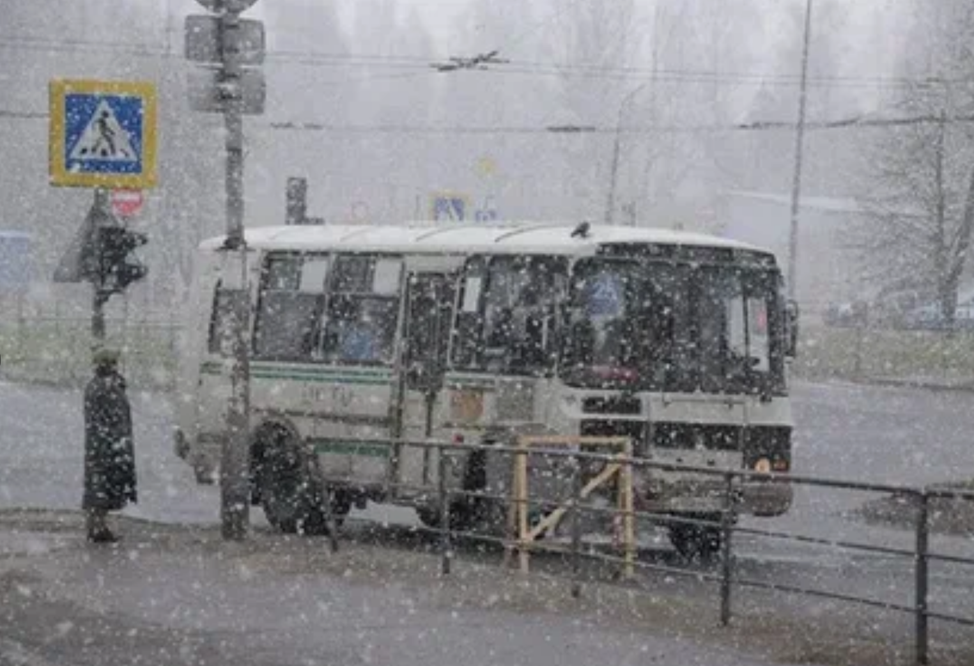 Метель в Петрозаводске. Фото из открытых источников.