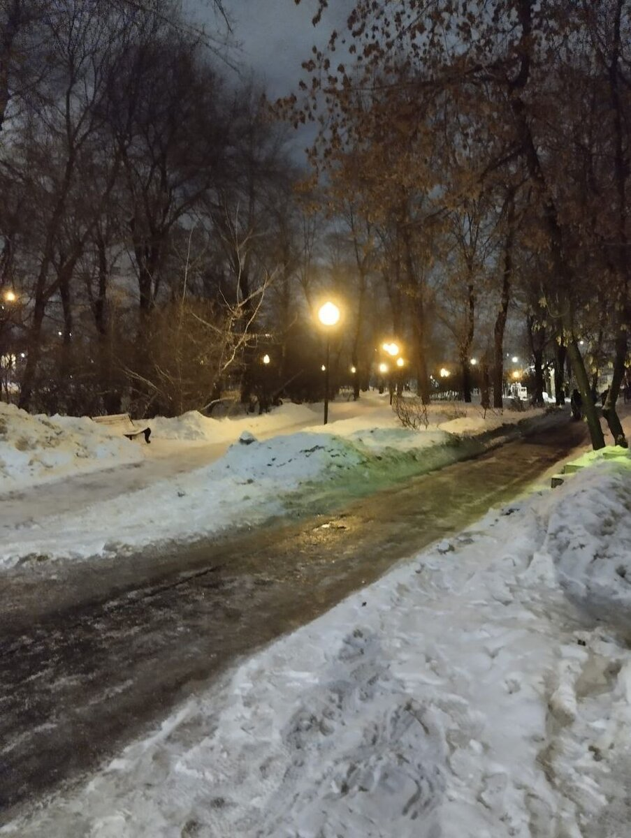 Сквер, где я гуляла с собакой. Фото автора.