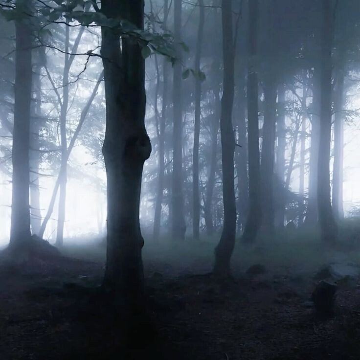 #фэнтези #тьма #свет #магия #битва 