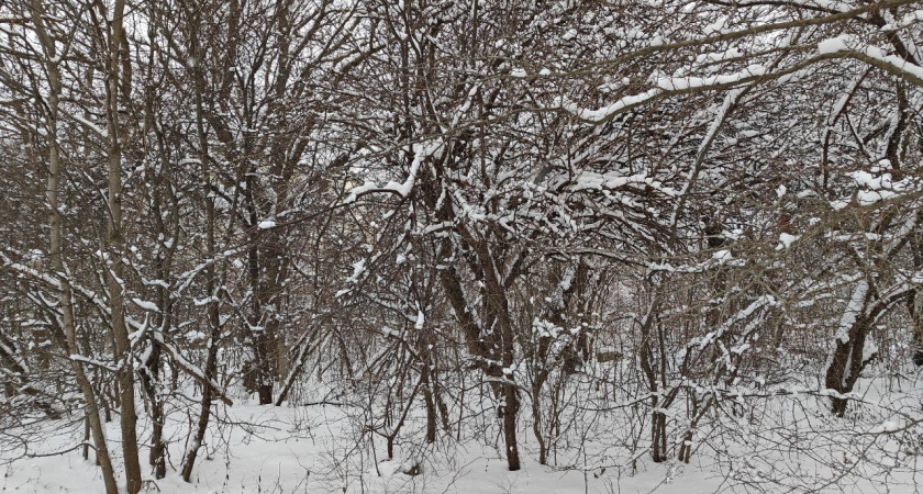   Первый городской канал Калининград