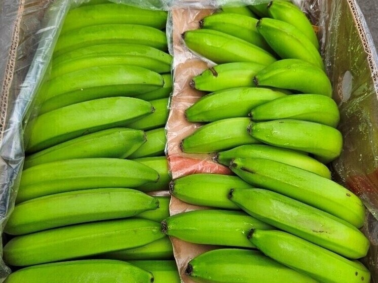     Фото: Северо-Западное межрегиональное управление Федеральной службы по ветеринарному и фитосанитарному надзору.