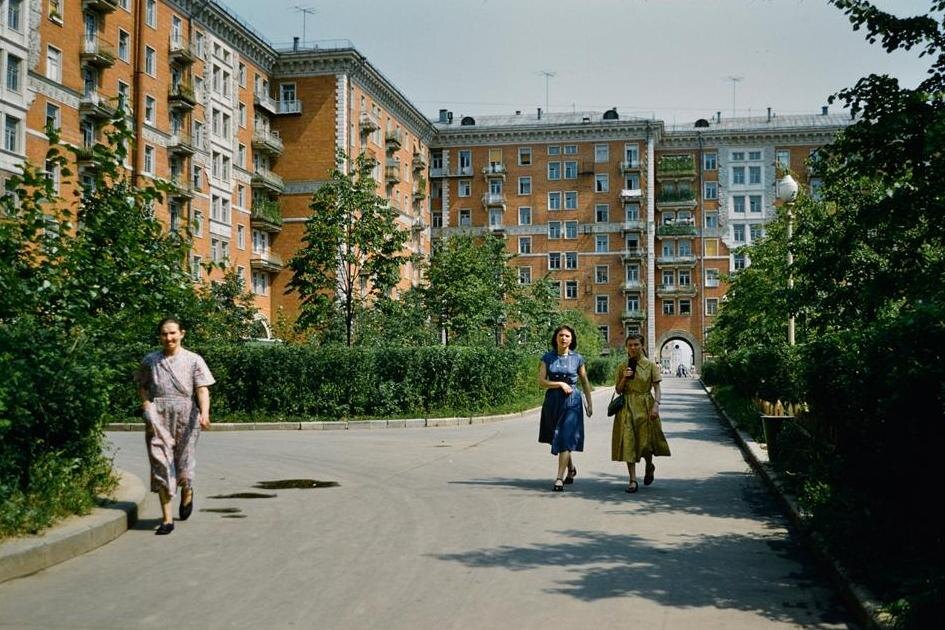 Обычный советский двор. Жизнь шла своим понятным порядком.