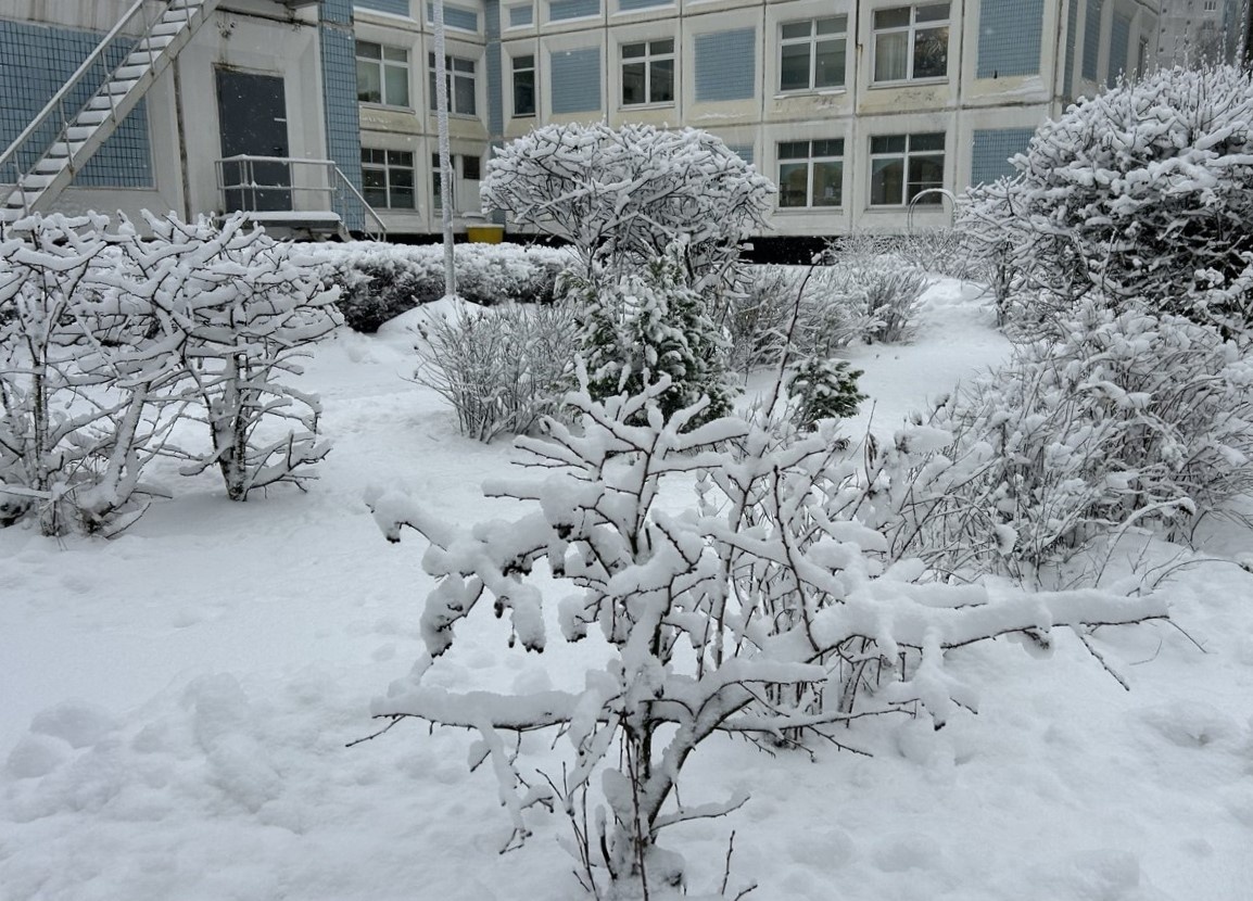 Очень красиво, но слишком снежно