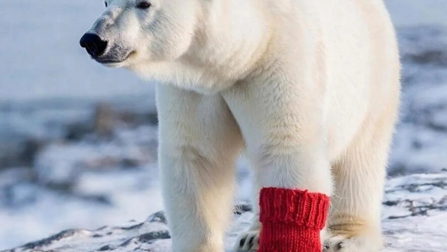    Сгенерировано ИИ "Гигачат"