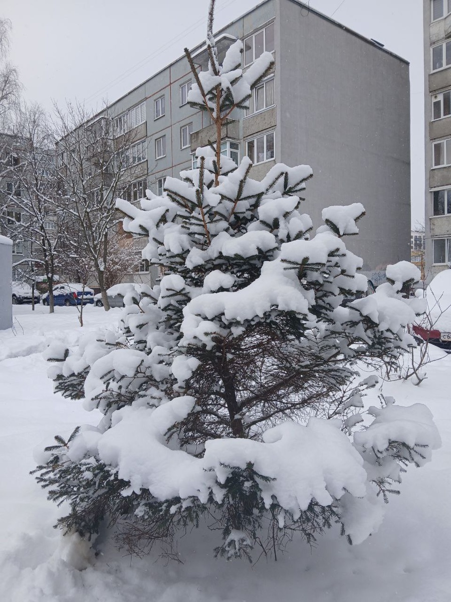 Вид соседнего двора. Фото из личного архива.