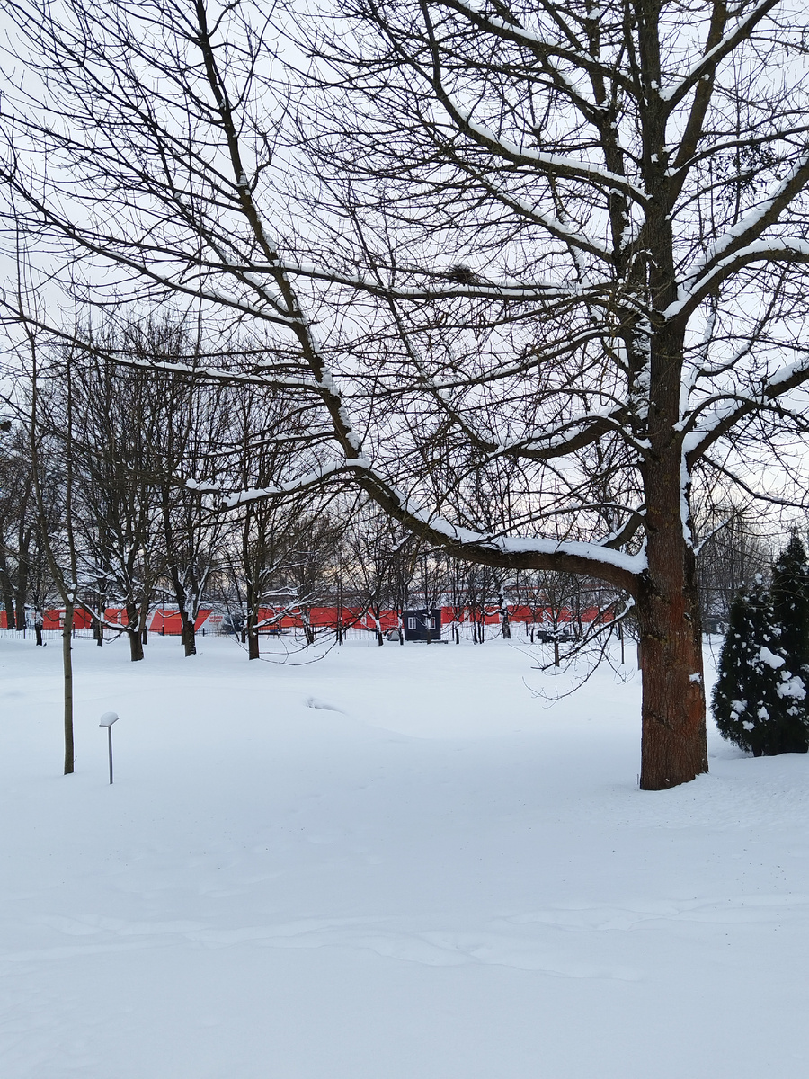 Фото из личного архива.