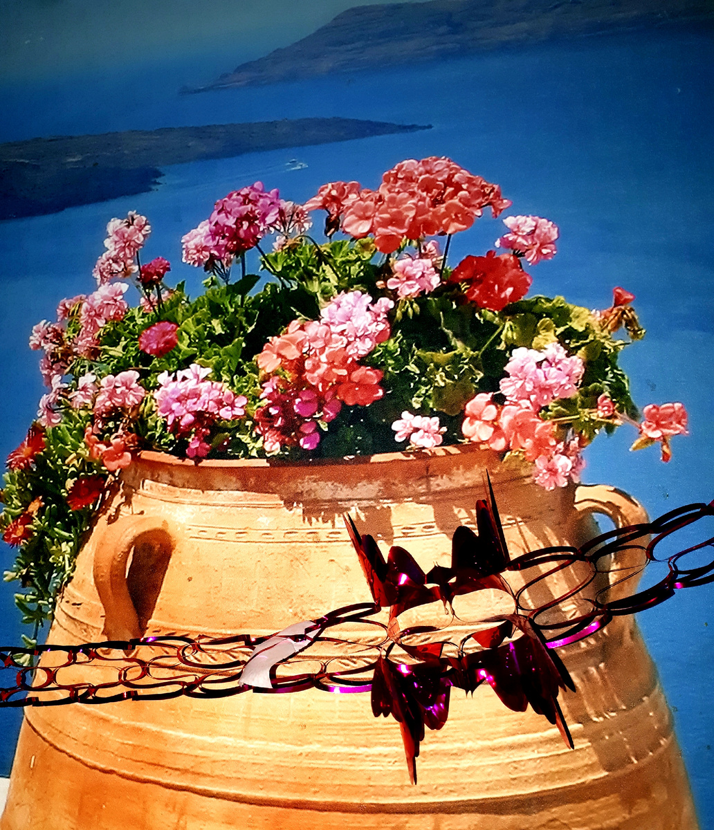 Фото автора 12.01.2026г.