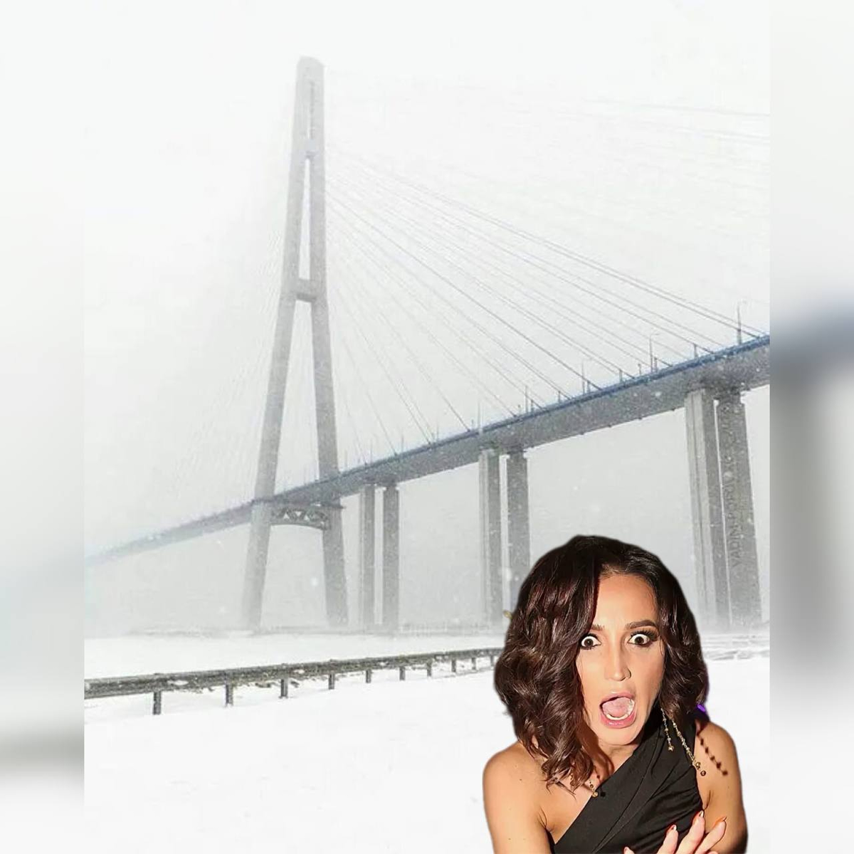 Пока Приморье разгребает снежные завалы Бузова возмущается русскому народу