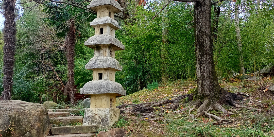 Сад русско-японской дружбы в Сочи в январе 2026 г.