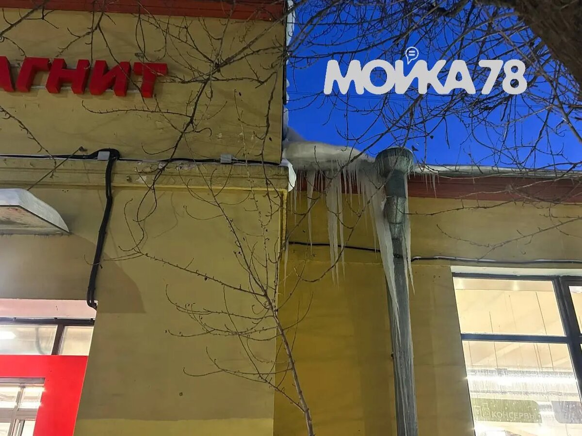    Фото: читатель Мойки78