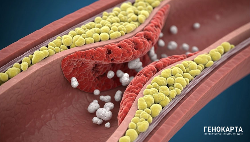 Al gafur // shutterstock.com