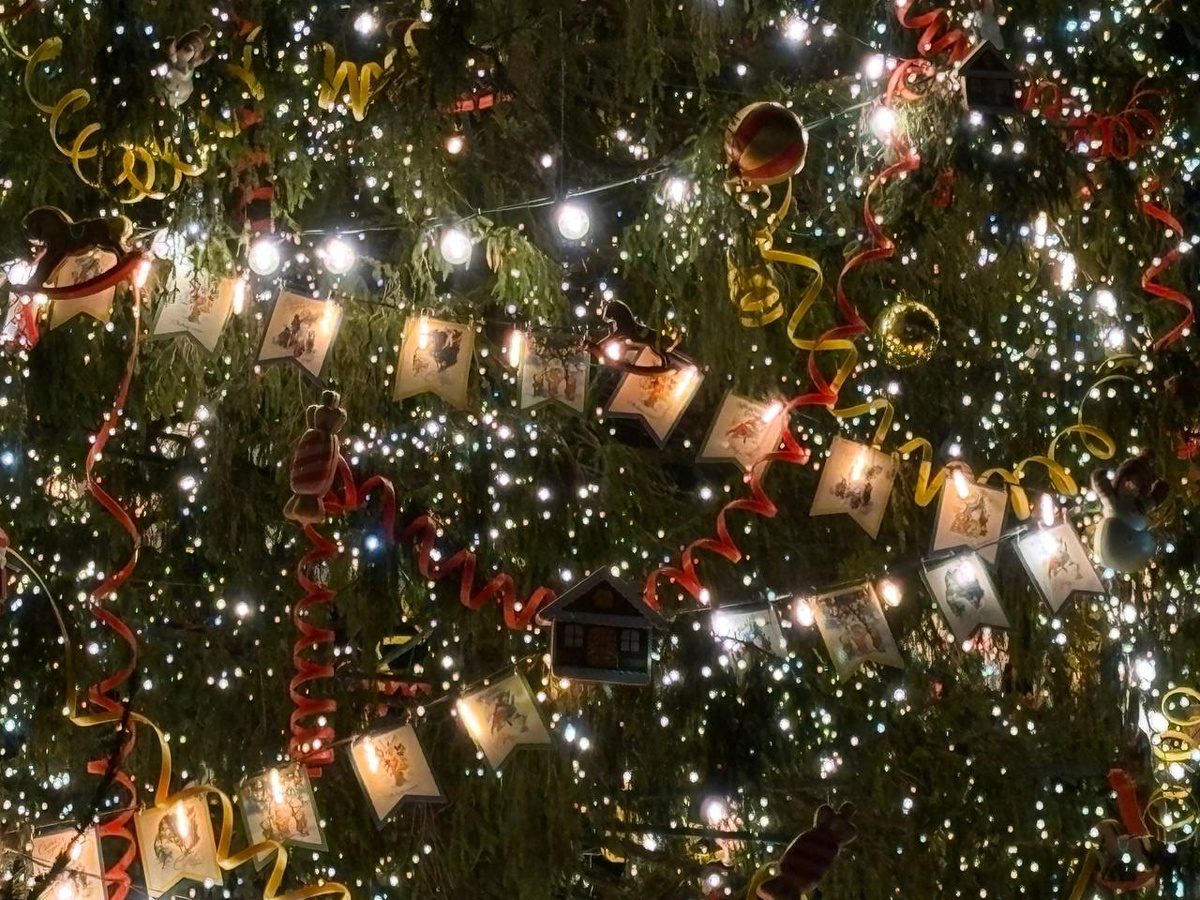 Фото: Neva.Today