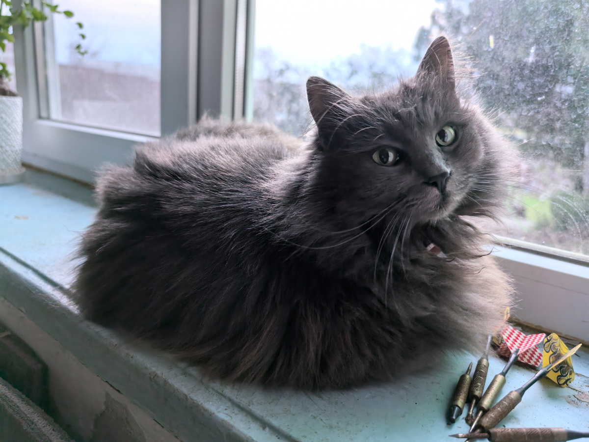 Иди ка ты сам, пожалуй