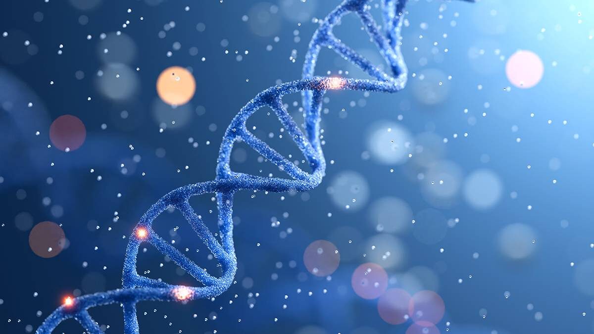    Фото: Shutterstock