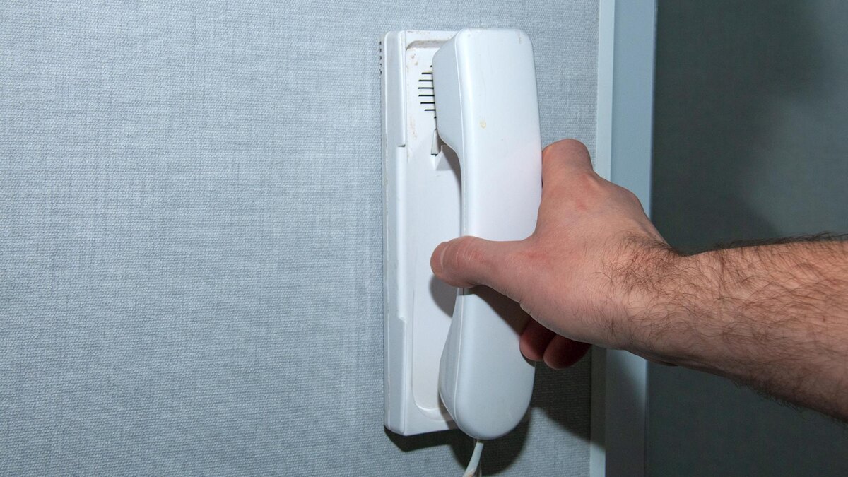    Фото: Svetlana Vozmilova/globallookpress.com