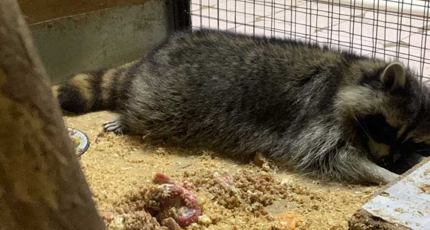    Фотоархив редакции