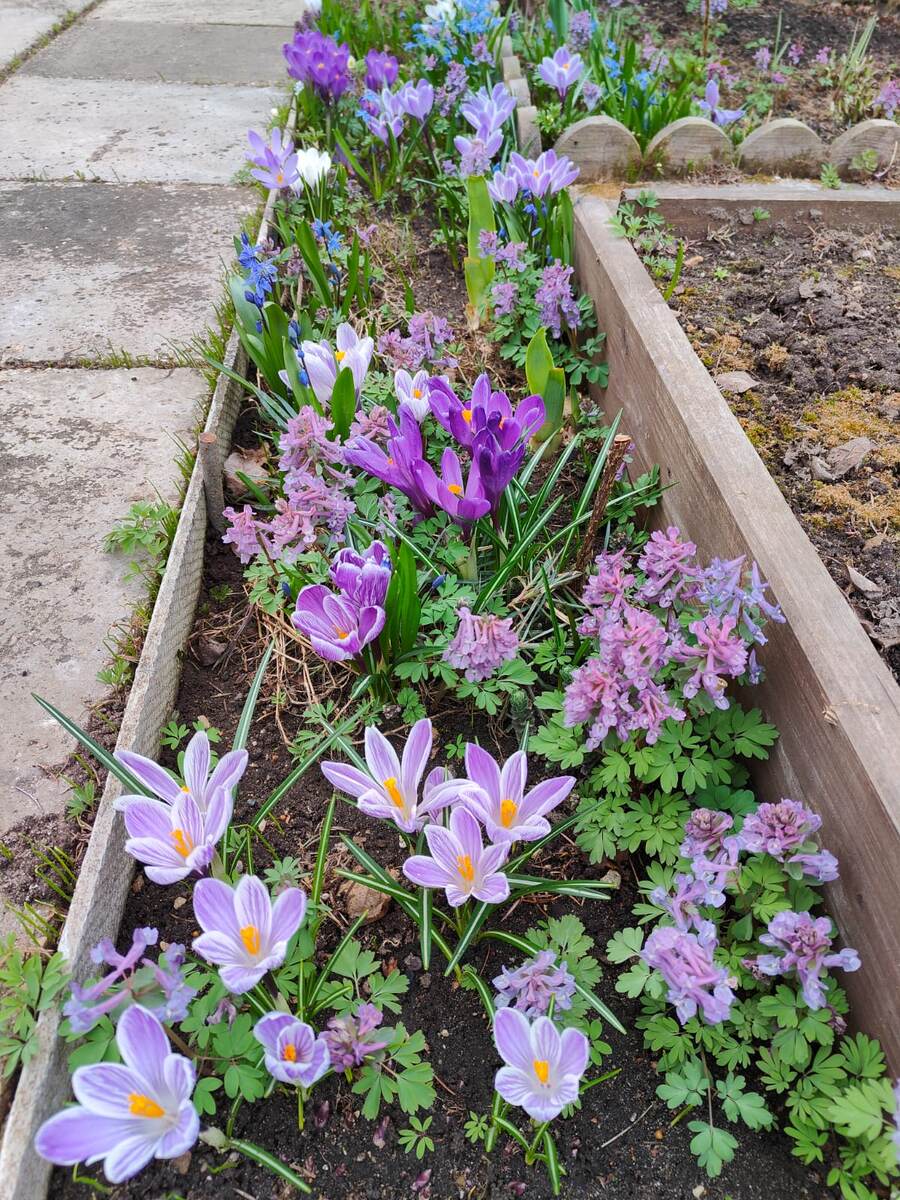 Вид с востока.