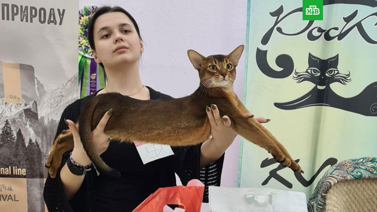    Фото: darlenfleur / t.me