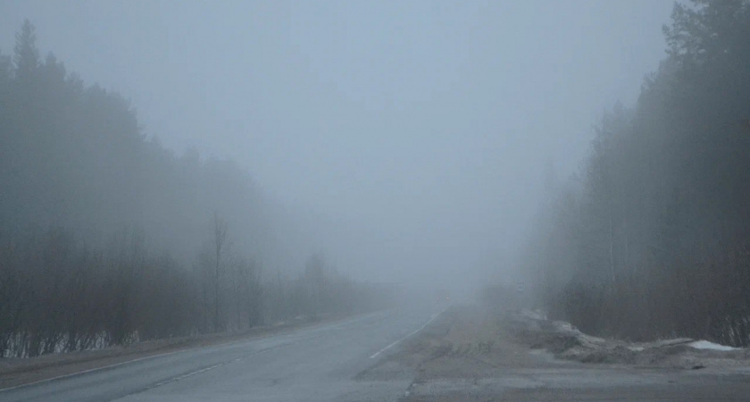    Вячеслав Вольгин