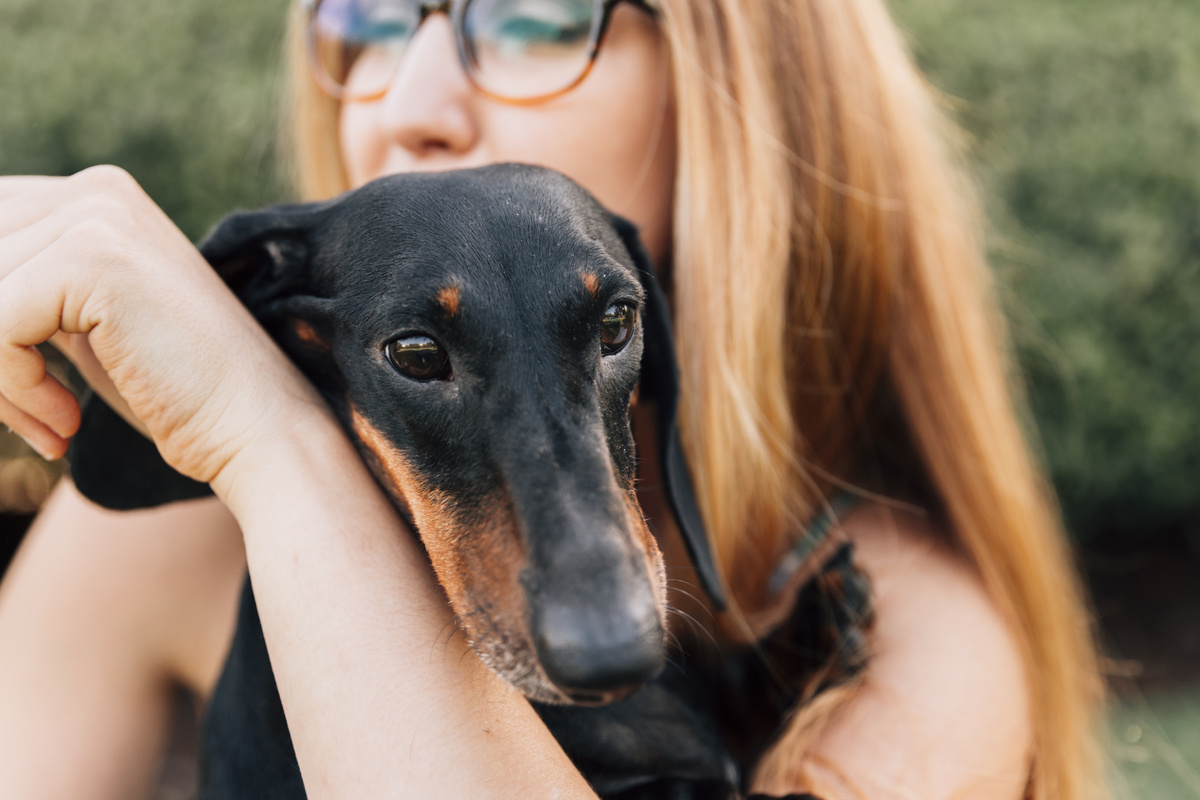     7 самых громких пород собак, которые любят лаять