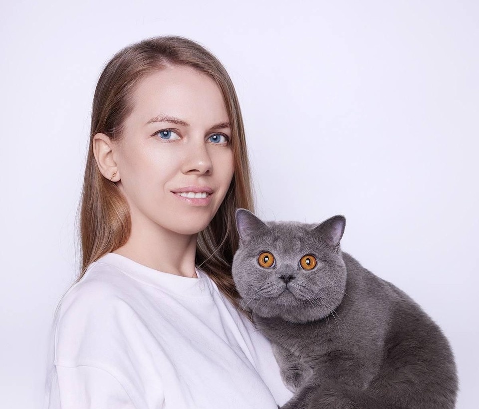    C юности кот Эксклюзив участвует в международных выставках. Фото: предоставлено питомником pearl-bridge.com