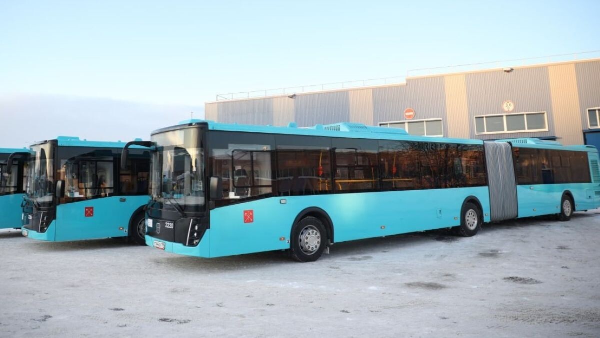   Telegram-канал Комитета по транспорту Петербурга