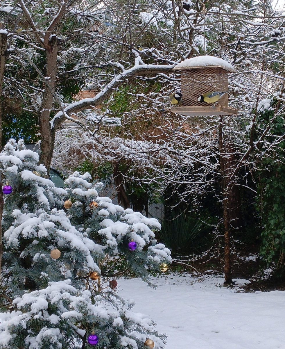 Накануне Нового года
