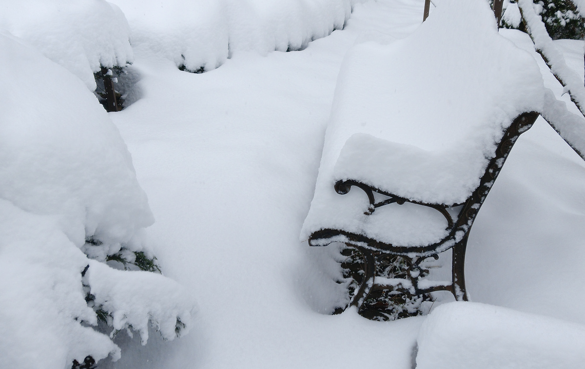 Любимая скамеечка у пруда
