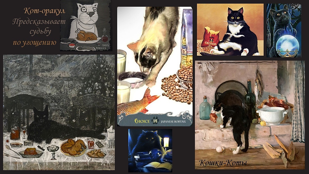 2. Кот оракул предсказывает судьбу по угощению.