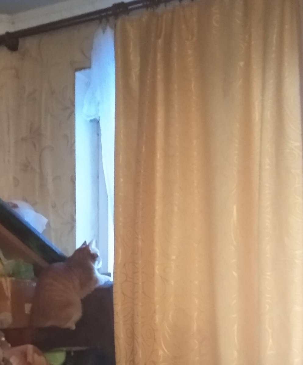 Личное  фото.    