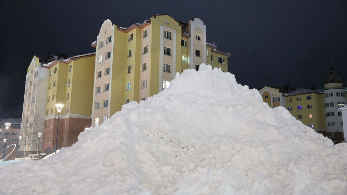    Фото: Андрей Ткачев / «Ямал-Медиа»