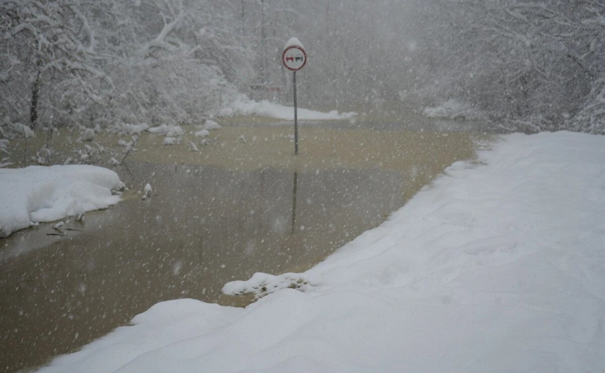    Фото t.me/moapsheronskiyrn