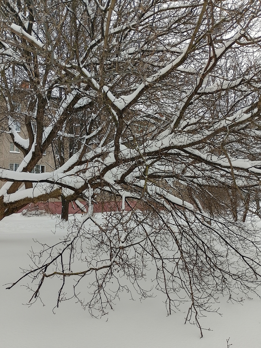 Фото автора.