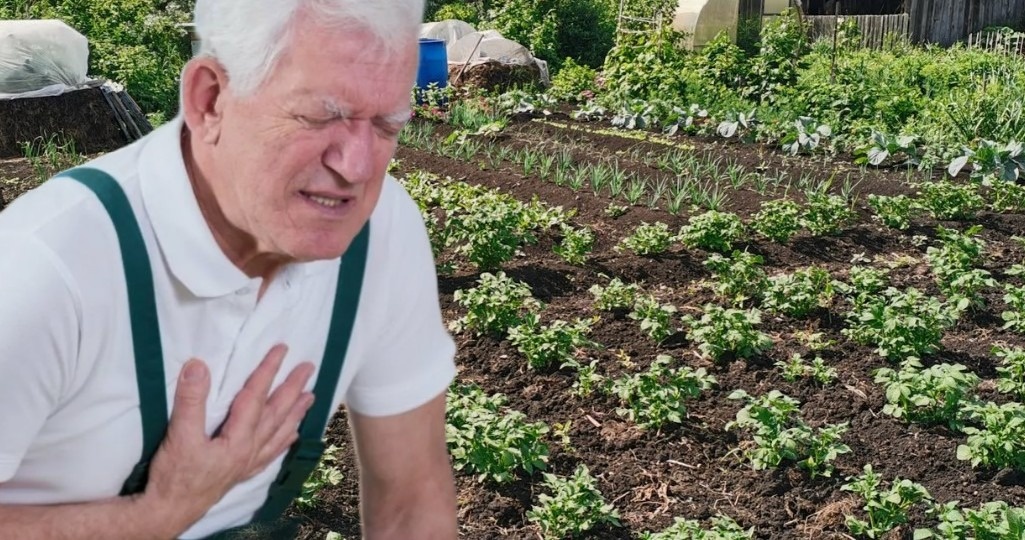 И каждый раз звучит одна и та же фраза - недавно проходил диспансеризацию, все показатели в норме.
