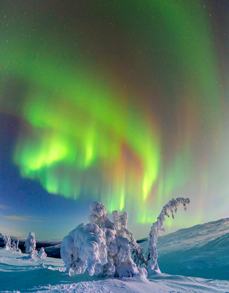 «Снежный дракон». Фото: Максим Морозов. Источник: strana-rosatom.ru