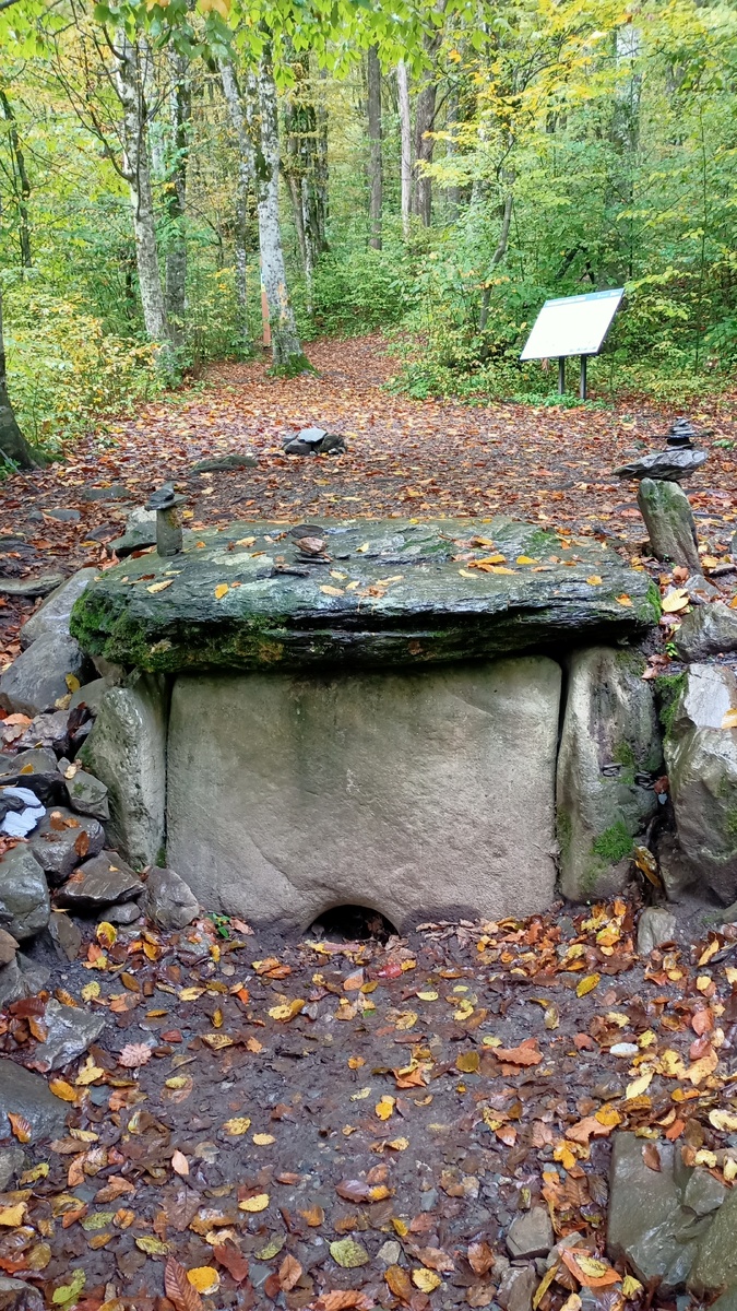 Все фото автора сделаны в Кавказском заповеднике г. Сочи