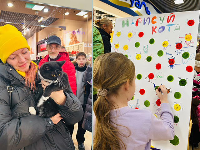 10 друзей кота Суворова в Твери нашли свой дом