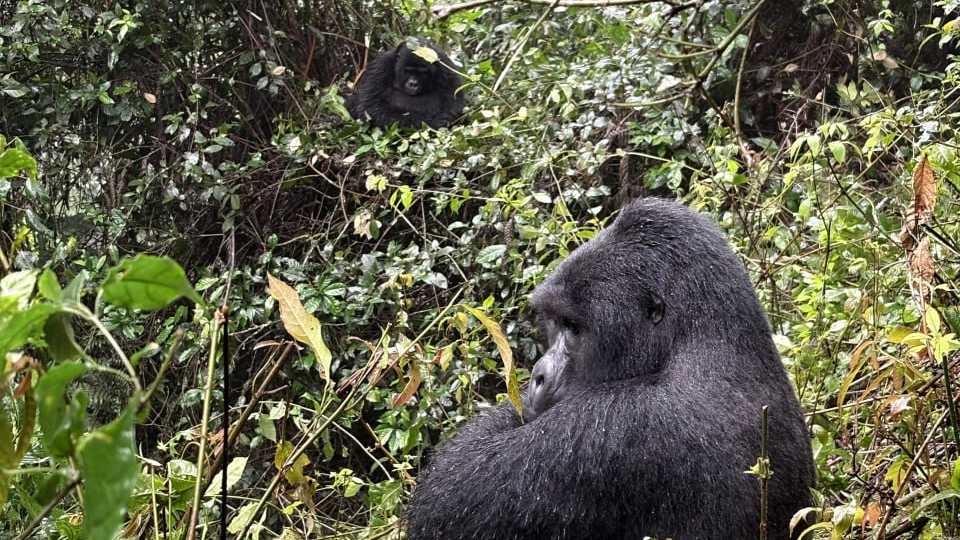 УГАНДА. Соло на экваторе.