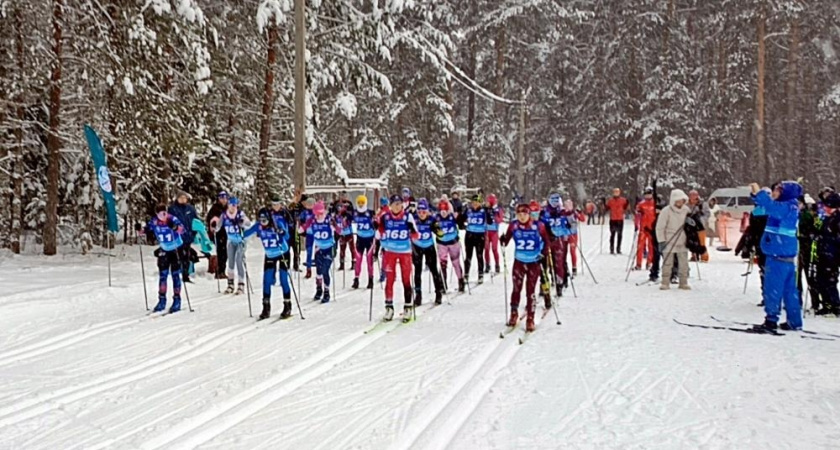    Фото: Пресс-служба министерства спорта Владимирской области