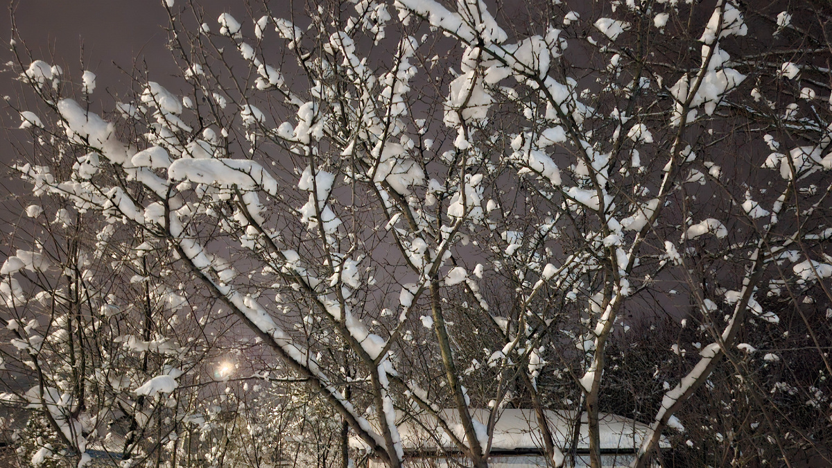 Раннее утро